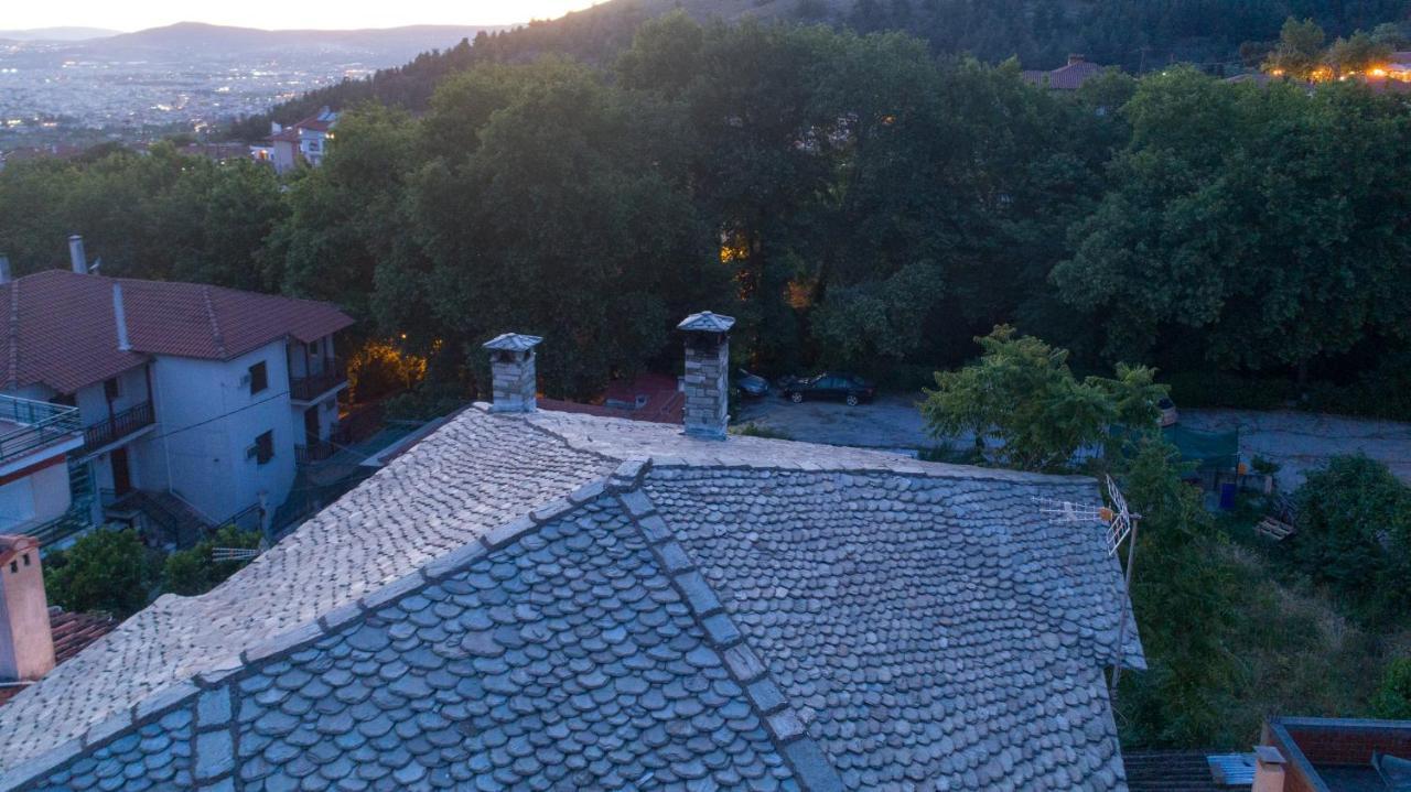 Villa Mountain Breeze Sanctuary Volos Exterior foto